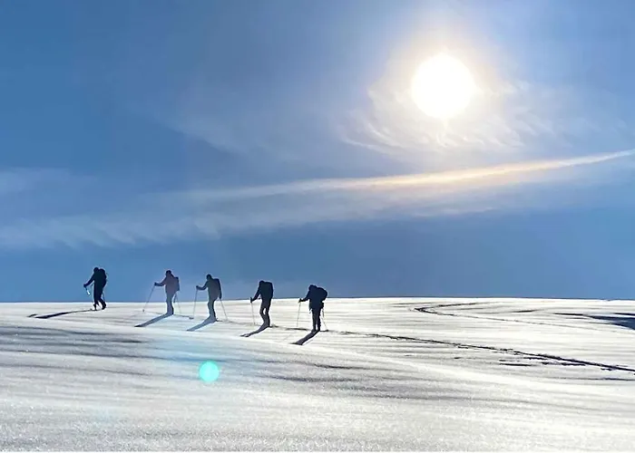 Poelzl בודנסדורף