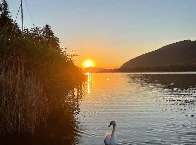 Poelzl בודנסדורף